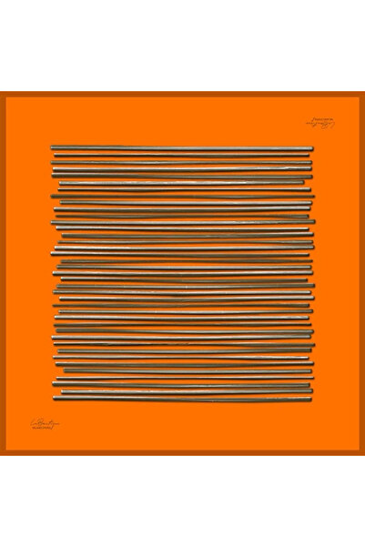 LA BOUTIQUE 2039 Sura Silk Scarf 01