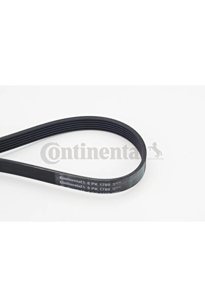 Continental Curea Transmisie Cu Caneluri Bmw 3/X1 Fiat Brava/Bravo 1