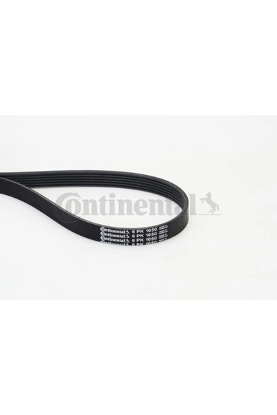 Continental Curea Transmisie Cu Caneluri Audi A3 Citroen C2/C3 1/C3 Pluriel