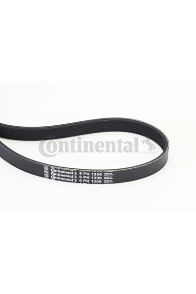 Continental Curea Transmisie Cu Caneluri Ford C-Max/Focus 2 Mazda 3/5