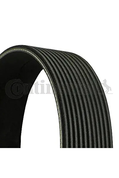 Continental Curea Transmisie Cu Caneluri Mercedes-Benz Actros MP2 / MP3