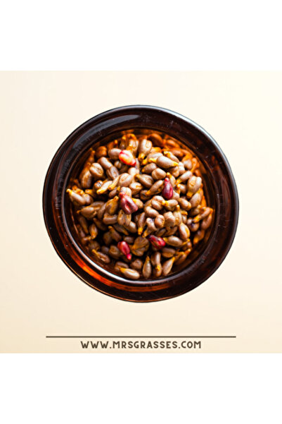 Saydat alashab زيت بذور العنب 100 مل