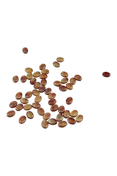 Serhat Aksesuar ve El İşçilik خرز مرجاني بيضاوي الشكل مقاس 11×8 ملم (85 قطعة)