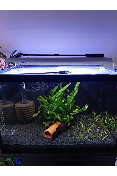 decoronay Barış Bazalt Siyah Kum 5 KG