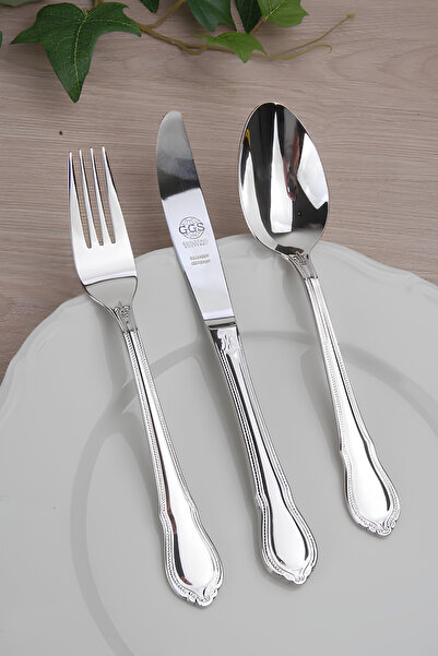 GGS Solingen Germany Rebeka Parlak 96 Parça Set