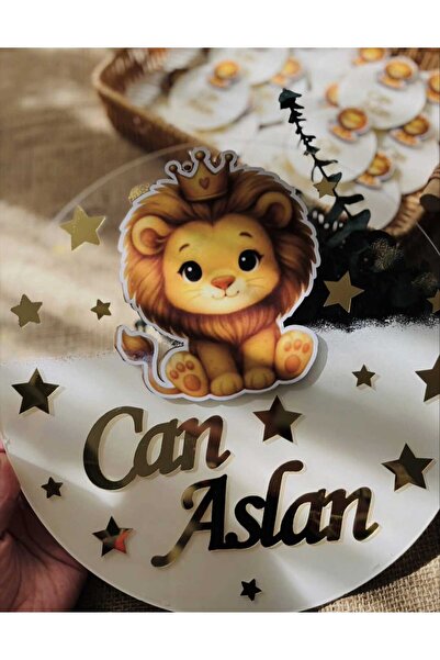 Pass Pano طقم زينة باب من البليكسي على شكل أسد: زخرفة للباب + 10 قطع مغناطيس بحجم 7 سم |   هدية خاصة لحديثي الولادة وعيد الميلاد