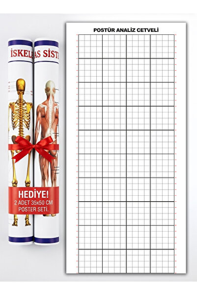 AND Postür Analiz Gridi Tablosu - Posture Analysis Grid + Yükseklik Bağımsız ...