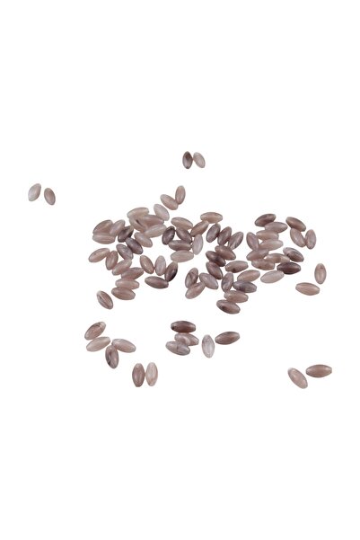 Serhat Aksesuar ve El İşçilik خرز بيضاوي مقاس 12 × 5 مم ذو لون بيج فاتح مع ثق...