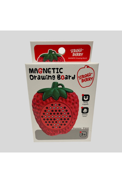 OEM Magnetic educational toy – Strawberry, with magnetic pencil, skill game (3+)