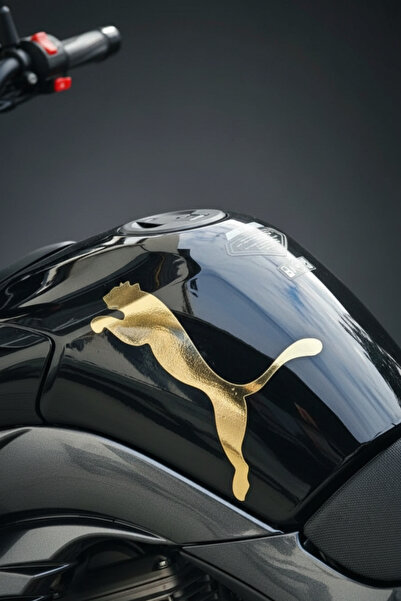 artea tasarım Gold Puma Sticker - Motorsiklet Depo, Kask ve Araba İçin Suya D...