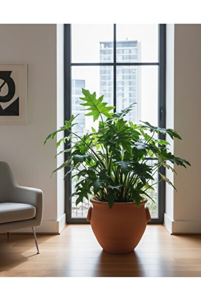 HAZEMHOME El Yapımı Doğal Hava Geçiren Toprak Saksı