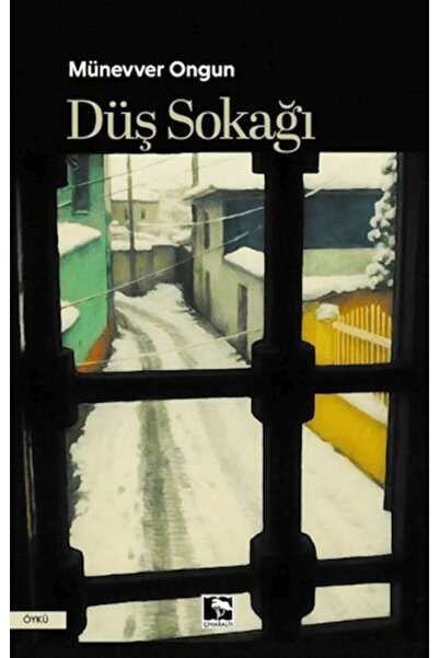 Çınaraltı Yayınları Düş Sokağı