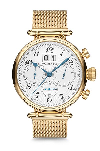 Momentus TM250G-02SG ERKEK KOL SAATİ