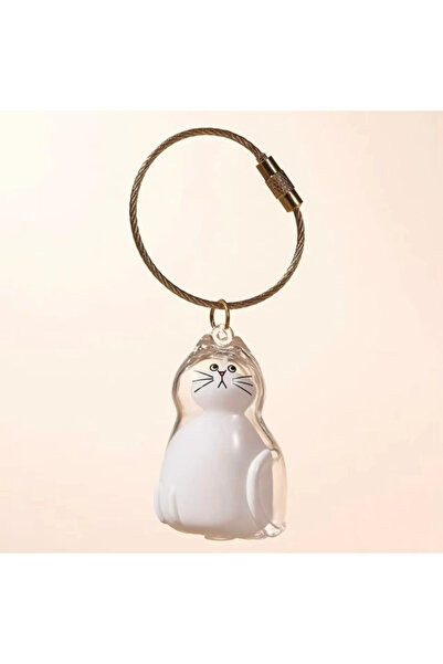 Choice4 D Cat Fur Memorial Charm Resin Keepsake Capsule for Pet Hair Portable Keychain Pendant for Hair Rai.