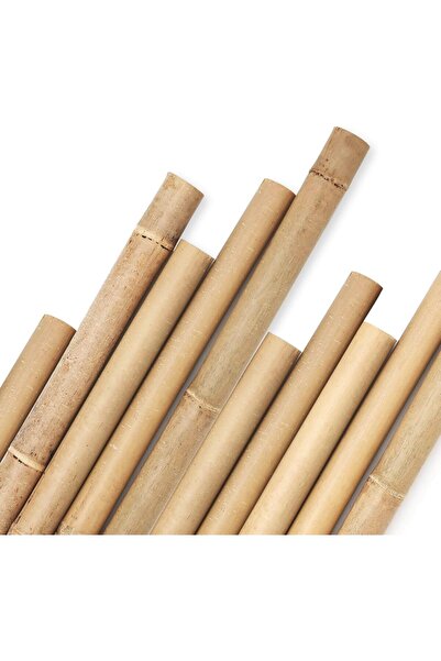 Egardenkart أعواد خيزران للنباتات - 240 سم، 3 قطع