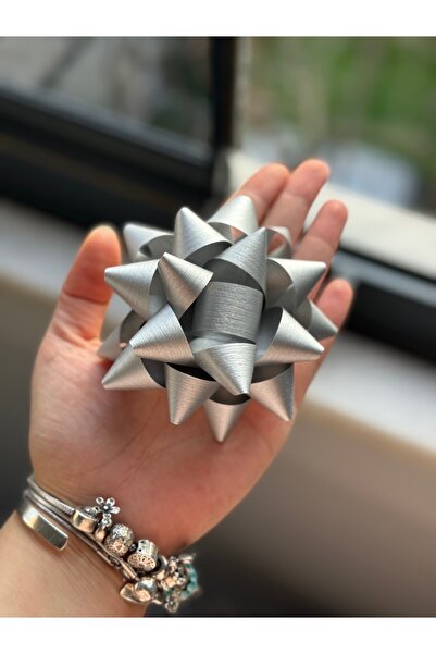 STAR PENNSYLVANIA NEW FLOWER Fiyonk Gümüș Yıldız Süs Hediye Paketi Süsü 10lu ...