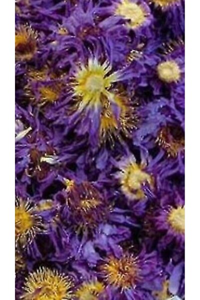 Saydat alashab زهرة اللوتس 35 غرام