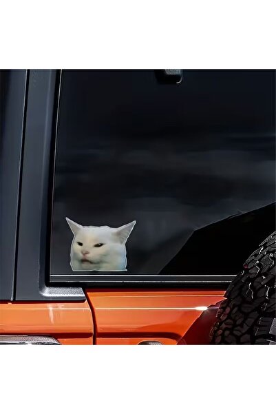 ÖZGÜL REKLAM Komik 'Smudge Kedi Sticker Araba sticker / Motor Sticker / Lapto...