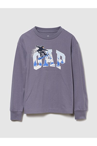GAP Erkek Çocuk Gri Grafik T-Shirt