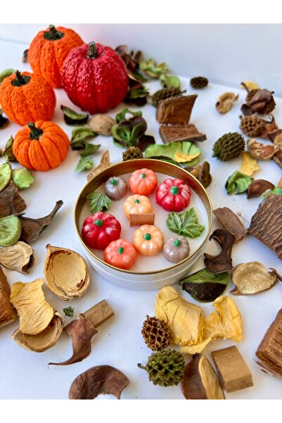 VOUN SCENTED CANDLE organic soy wax Kabak Mum - Ahşap Fitil -%100 Soya Wax Teneke Mum