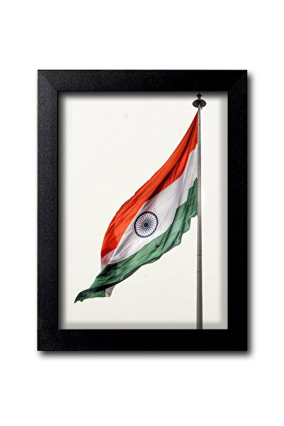 ALAYRA International ملصق حائط علم الهند تيرانجا من ALAYRA Blue Nexus BNWPIND...