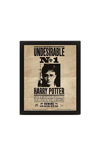 ALAYRA International ملصق ثلاثي الأبعاد عدسي من ALAYRA لشخصية هاري بوتر/سيريو...