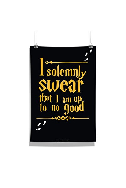 ALAYRA International ALAYRA Harry Potter Solemnly Swear Paper Poster Without ...