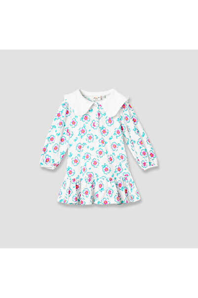Juniors Floral Print Collared Dress with Drop Waist and Long Sleeves