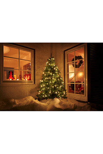 Tarrington House Instalatie 100 Leduri 5 m