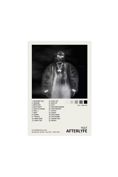 ALAYRA International ملصق ألايرا ييتس، غلاف ألبوم الموسيقى Afterlife، ملصق قماشي، لوحة جدارية، ديكور، صورة مطبوعة