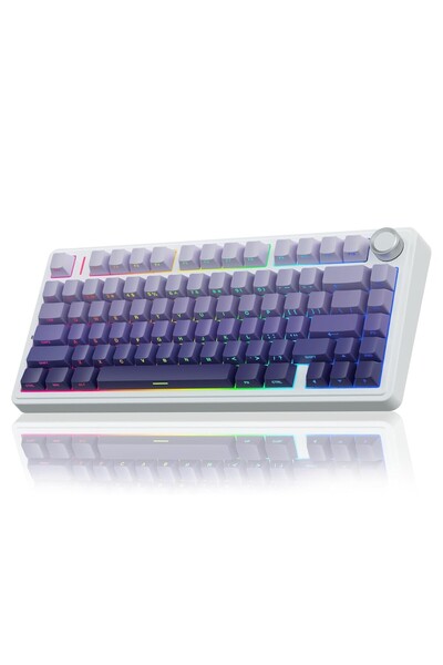 Aula F75 Mekanik RGB TKL Seiya Switch Kablosuz Makrolu Hot Swap Gaming Klavye Gradyan Mor