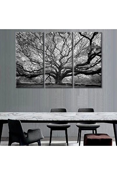 ALAYRA International ALAYRA Black and White Tree Wall Art Samanea Saman Poste...