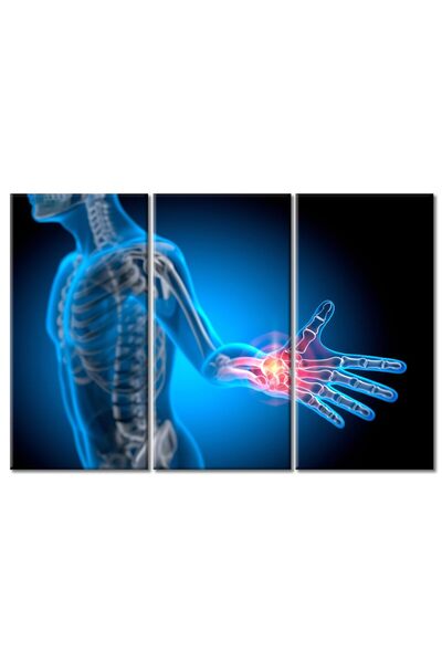 ALAYRA International ALAYRA Contemporary Artwork Health Care Concept Pictures...