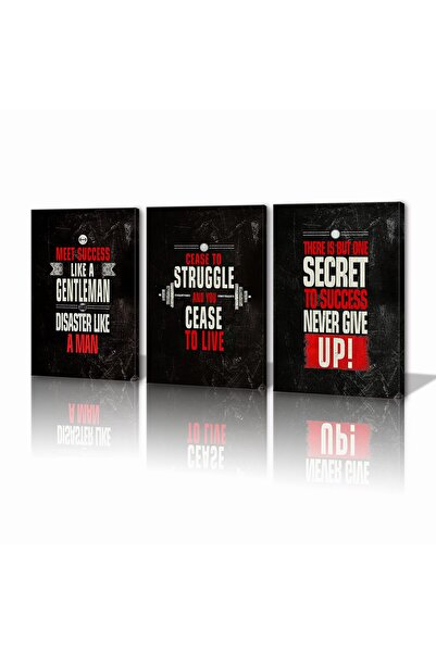 ALAYRA International مطبوعات فنية جدارية ملهمة لغرفة التمرين من ALAYRA، اقتبا...