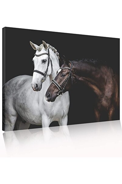 ALAYRA International ALAYRA White Black Horses Wall Framed Canvas Prints Livi...
