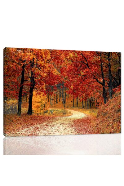 ALAYRA International لوحة قماشية مطبوعة من ألايرا، منظر طريق الحديقة، غابة ال...