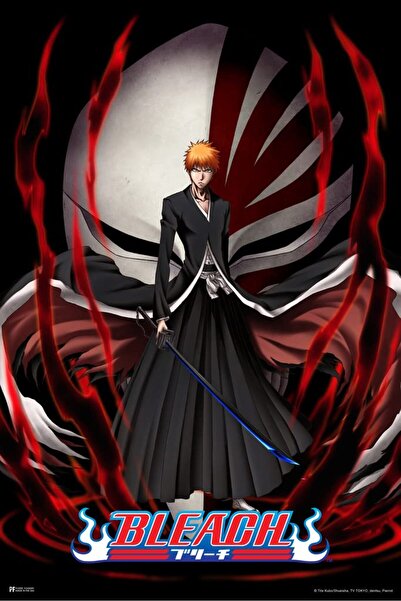 ALAYRA International ALAYRA Poster Foundry Bleach Anime Ichigo Kurosaki Soul ...
