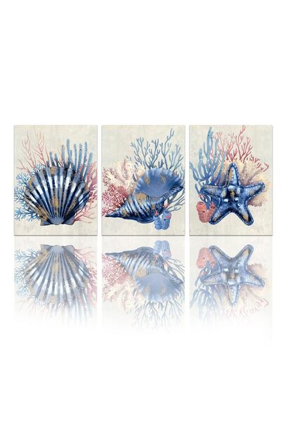 ALAYRA International ALAYRA 3 Piece Seashell Pictures Wall Art Vintage Blue a...