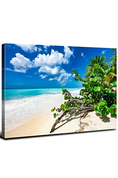 ALAYRA International لوحات جدارية من ALAYRA بتصميم المحيط، ديكور ساحلي، صور طبيعية استوائية مطبوعة على قماش، ملصق شاطئي