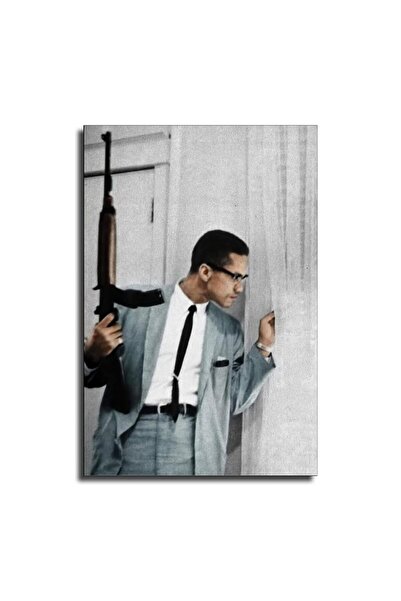 ALAYRA International ملصق ألايرا مالكوم إكس، تاريخ السود، ديكور جداري، الحقوق المدنية، تاريخ الولايات المتحدة، اقتباسات تحفيزية