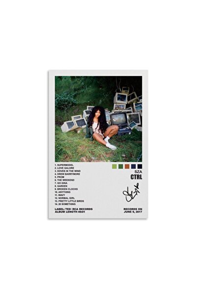 ALAYRA International ملصق ألايرا، غلاف ألبوم CTRL، ملصقات جدارية فنية من القم...