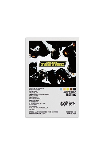 ALAYRA International ملصقات ألبوم روكي لألايرا، ملصقات جدارية فنية من القماش ...