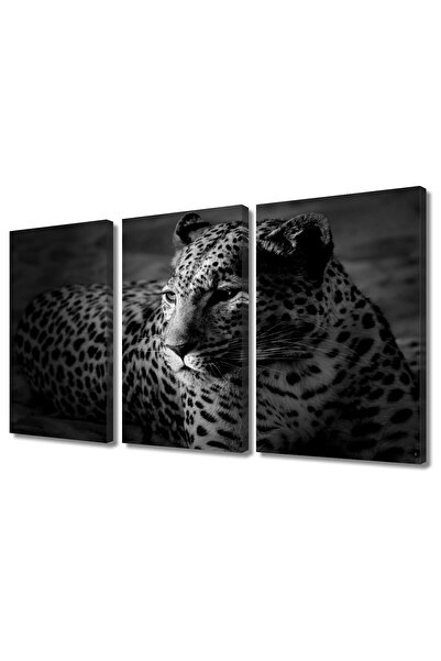 ALAYRA International لوحات فنية جدارية من ALAYRA بتصميم فهد أبيض وأسود، مناسب...