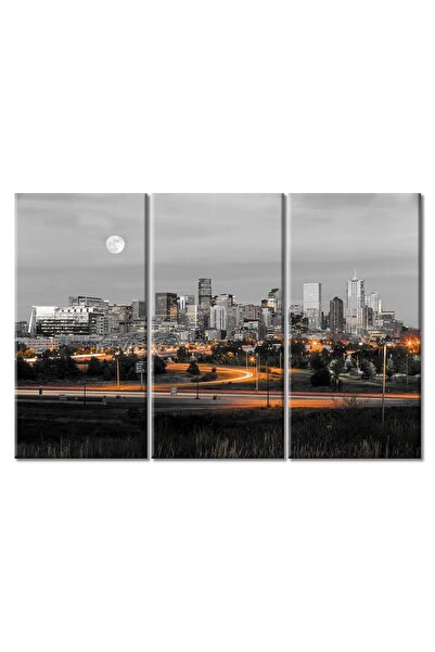 ALAYRA International ALAYRA Denver Skyline Office Decor American Cityscape Pi...