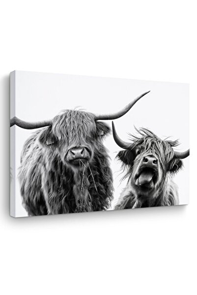 ALAYRA International ديكور ضفدع ملون من ألايرا، هدايا ضفدع، لوحة جدارية قماشي...