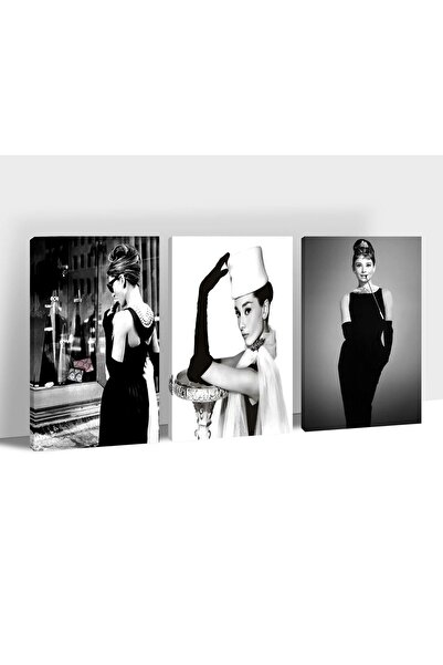 ALAYRA International ALAYRA Canvas Wall Art, 3 Pieces Vintage Poster Framed W...