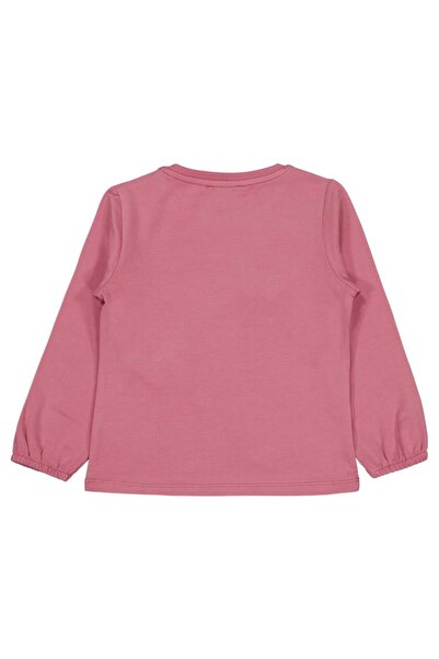 Civil Girls Butterfly Embroidered Sweatshirt for Ages 2-5 - Pink 3-4 Years