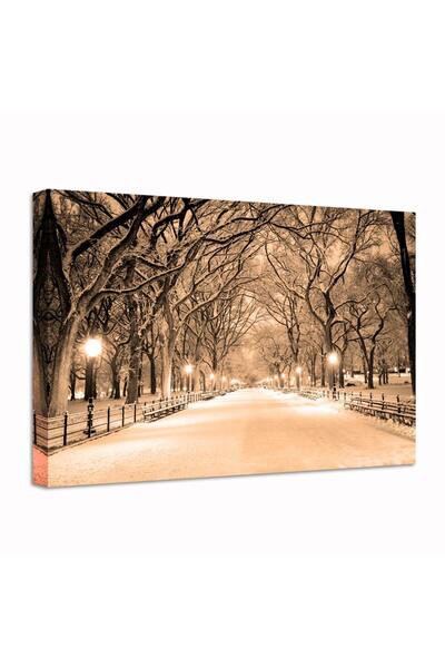 ALAYRA International لوحة فنية مطبوعة على قماش عتيقة من ALAYRA، صور جدارية ثلجية في سنترال بارك، طباعة جيكلي على قماش، لون بني داكن جديد