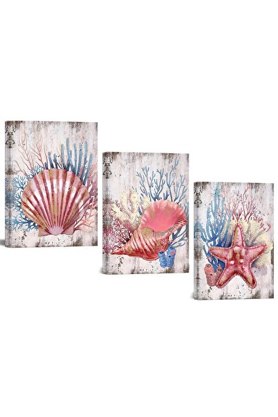 ALAYRA International ALAYRA 3 Piece Pink Canvas Wall Art Seashell Starfish wi...