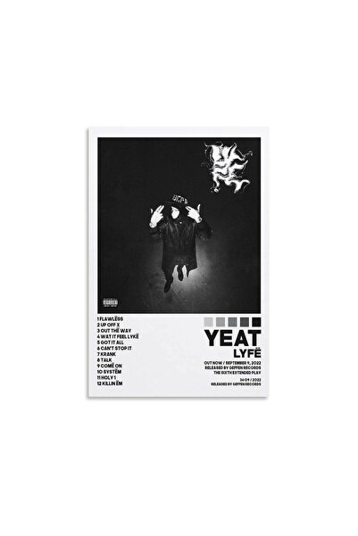 ALAYRA International ملصق ألايرا ييت، ملصق لايف، ملصقات غلاف الألبوم، ملصقات لغرفة النوم، فن جداري جمالي من القماش